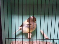 /album/%cf%84%ce%b1-%cf%80%ce%bf%cf%85%ce%bb%ce%ac%ce%ba%ce%b9%ce%b1-%ce%bc%ce%b1%cf%82/a2011-10-02-18-29-21-jpg/